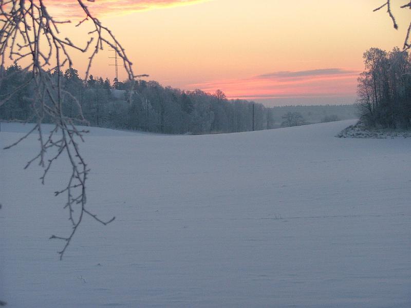 DSCF2423.JPG - Vinter när det är riktigt kallt