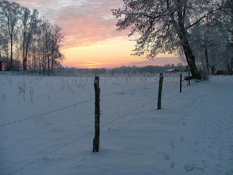 DSCF2425.JPG - Vinter2007