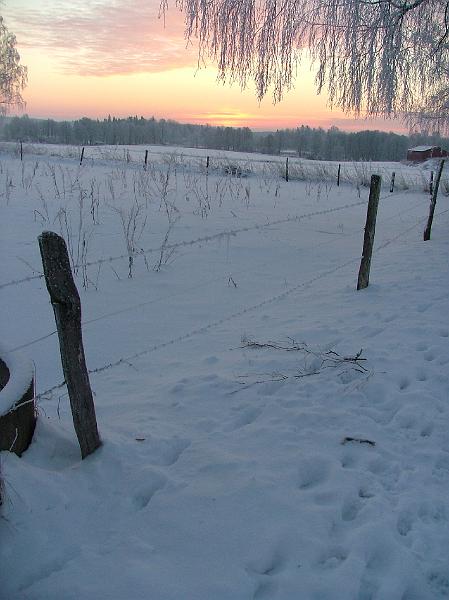 DSCF2426.JPG - Vinter vid djulö2007